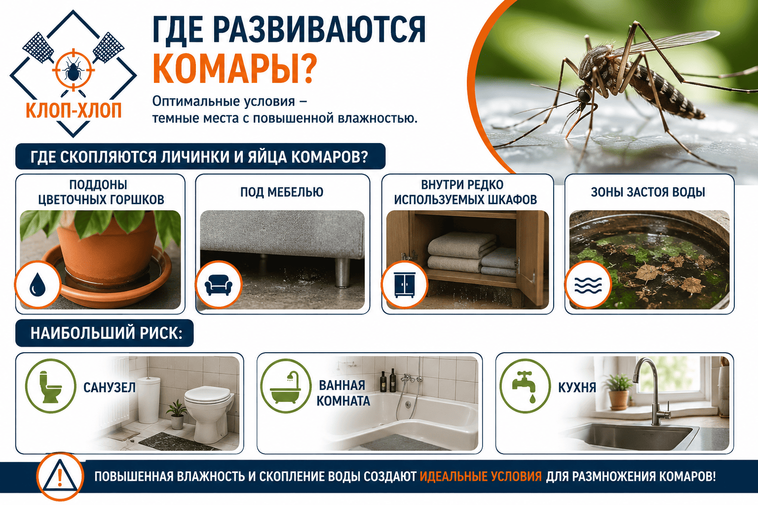 Оптимальными условиями для развития популяции комаров